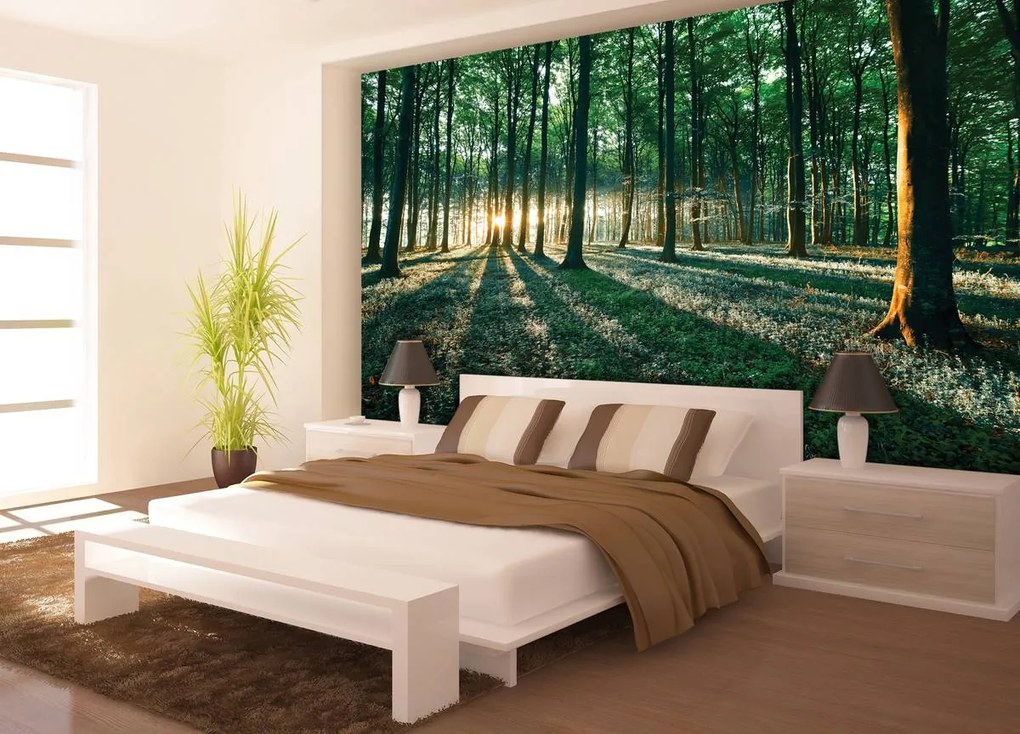 Fototapet - Pădure (254x184 cm)