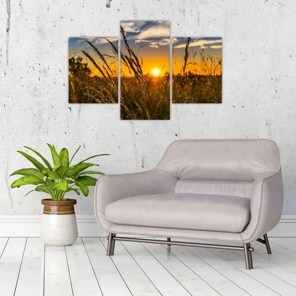 Tablou cu câmp în apus de soare (90x60 cm)