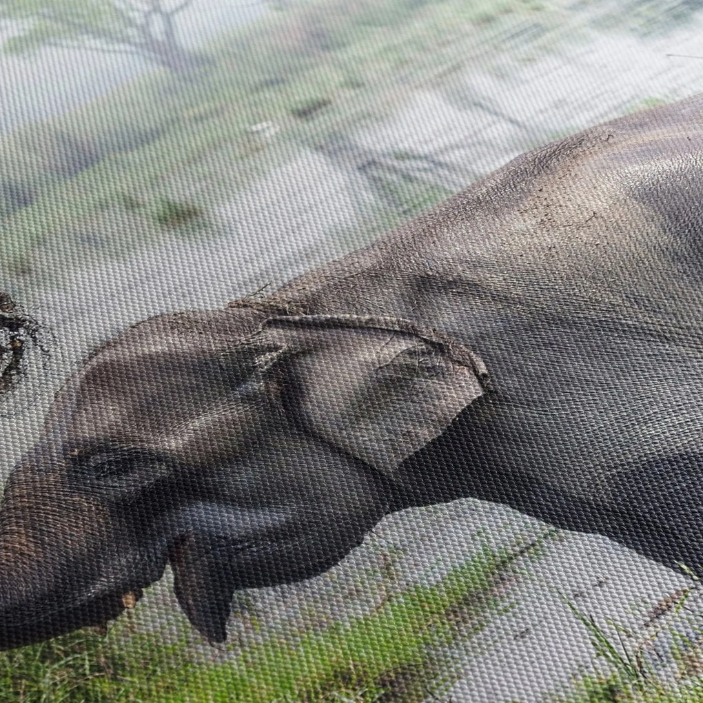Tablou - Elefant de scăldat (90x60 cm)