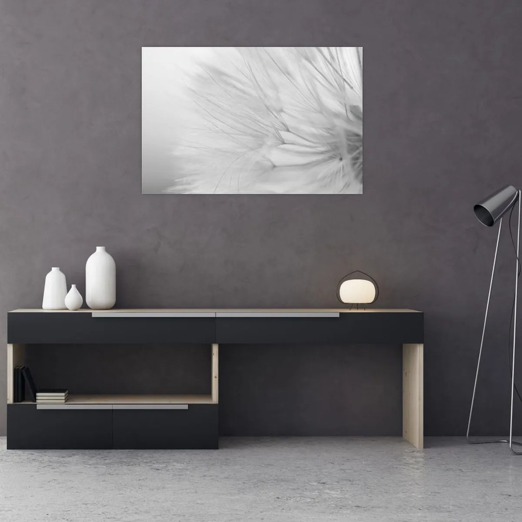 Tablou - Dandelion (90x60 cm)