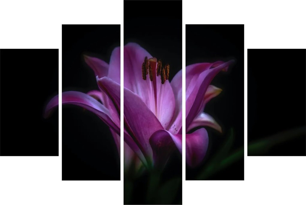 Tablou crinul (150x105 cm)