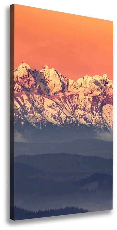 Tablou pe pânză Panorama Tatry