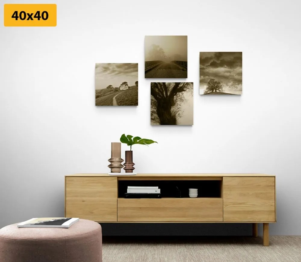 Set tablouri natura misterioasă în design sepia