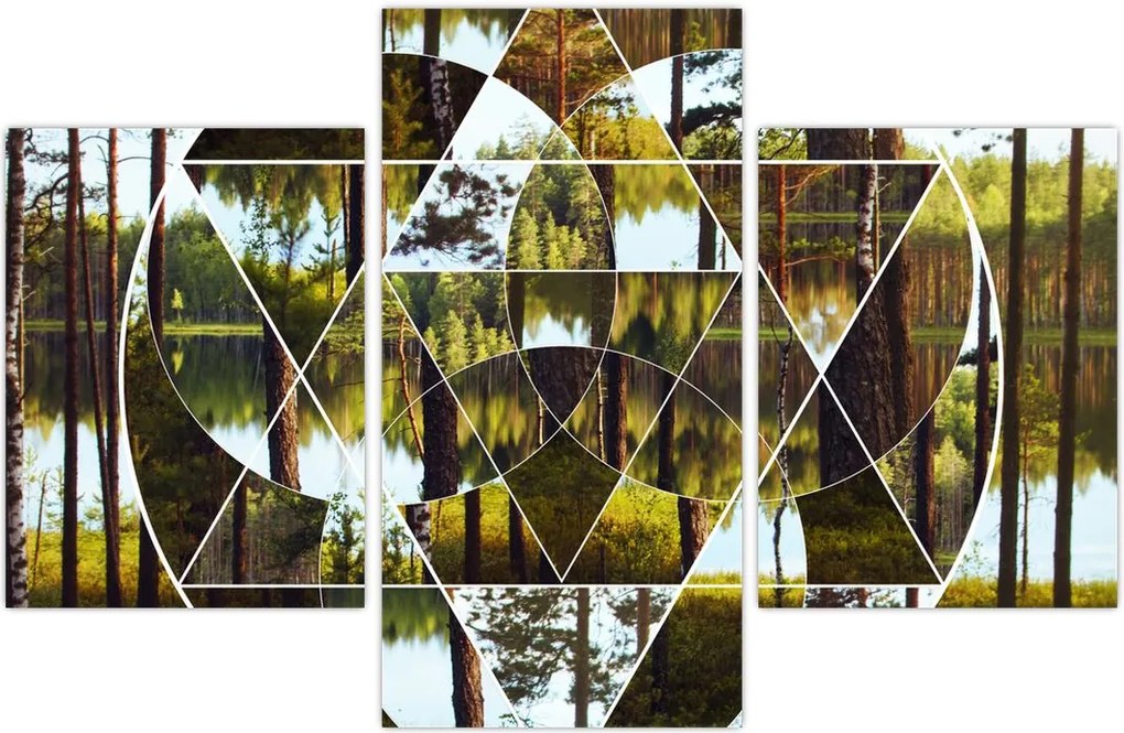 Tablou - Colaj geometric pe fundalul pădurilor nordice (90x60 cm)