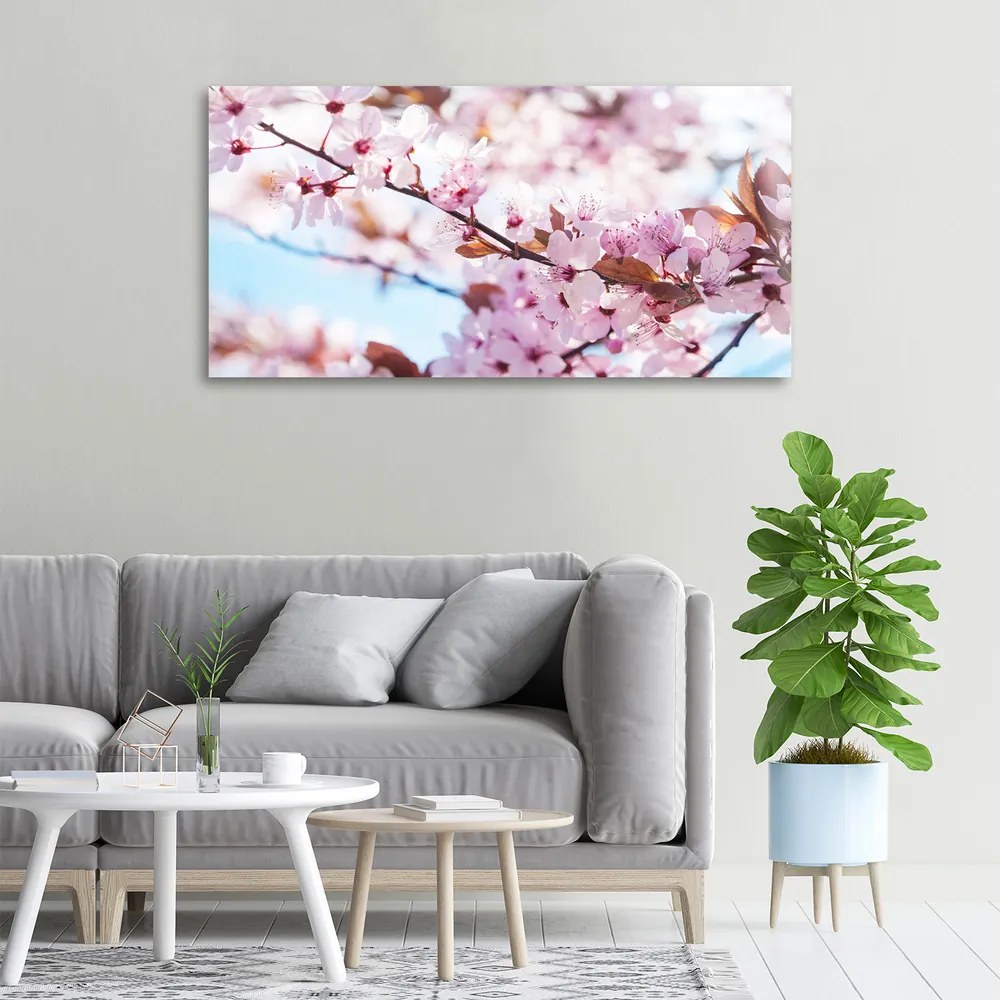 Print pe canvas Flori de cireș