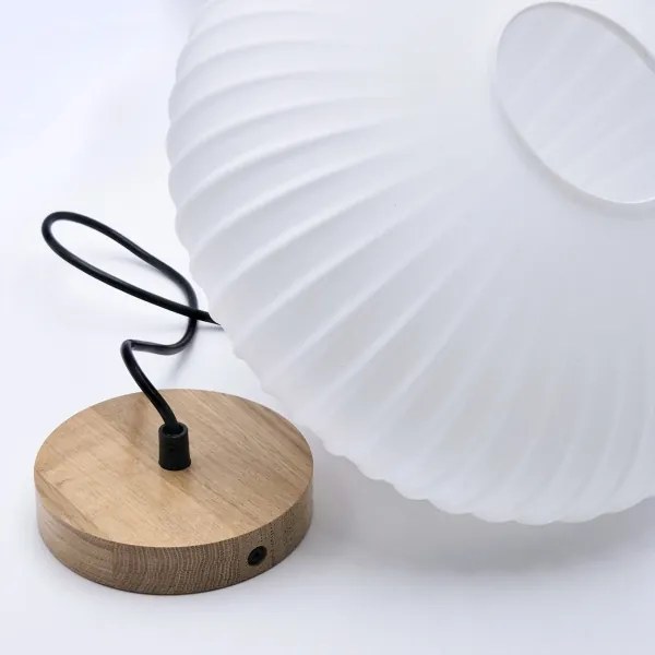 Lustră pe cablu HARMONY 1xE27/15W/230V d. 30 cm alb/stejar