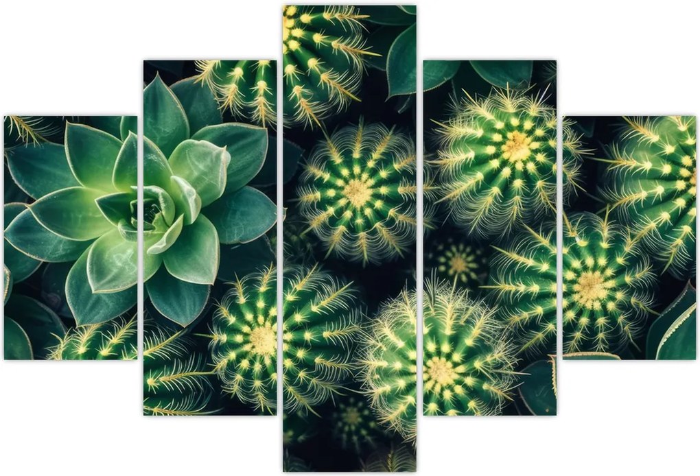 Tablou - Cactuși (150x105 cm)