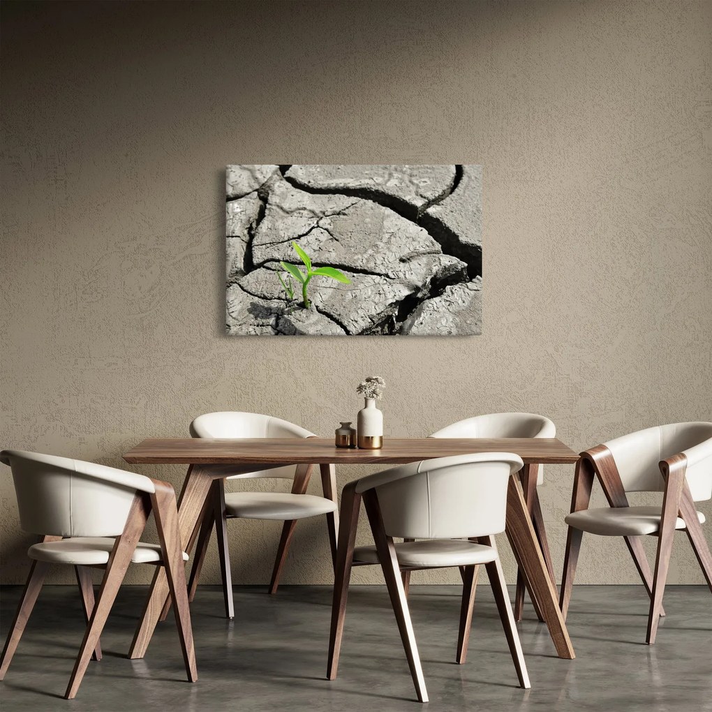 Tablou - Fisuri (90x60 cm)