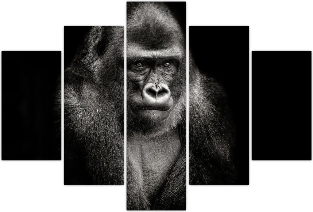 Tablou - Gorila (150x105 cm)