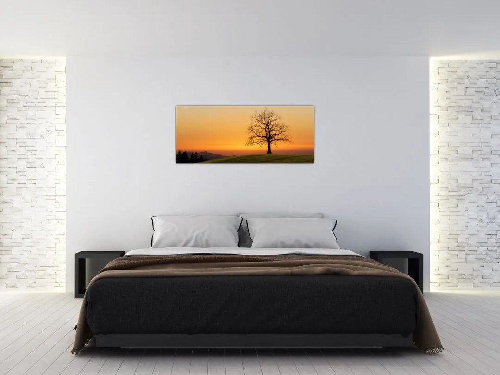 Tablou cu apus de soare pe o luncă (120x50 cm)