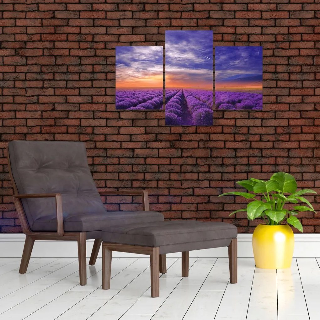 Tablou câmpului cu lavandă (90x60 cm)