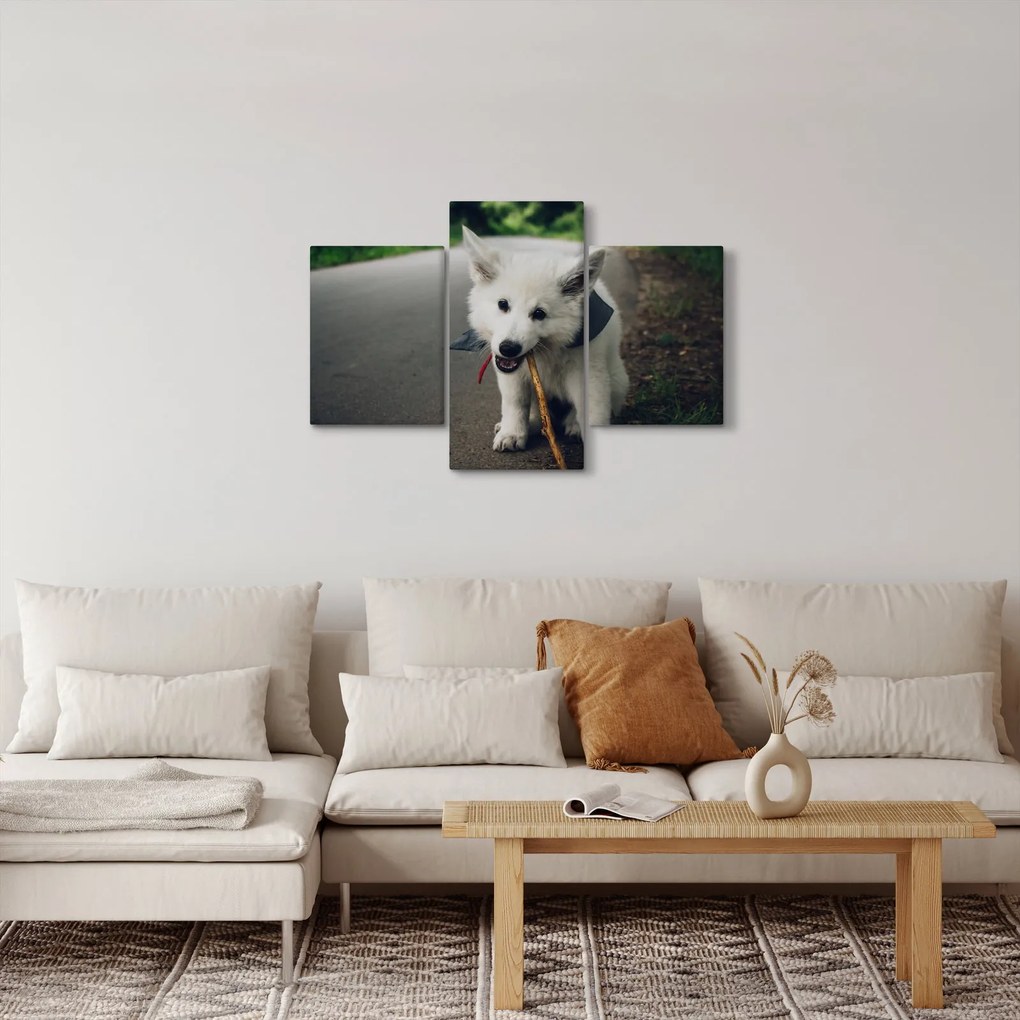 Tablou cu câinele alb (90x60 cm)