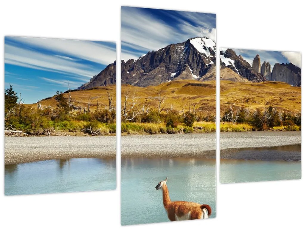 Tablou - Parcul Național Torres del Paine (90x60 cm)