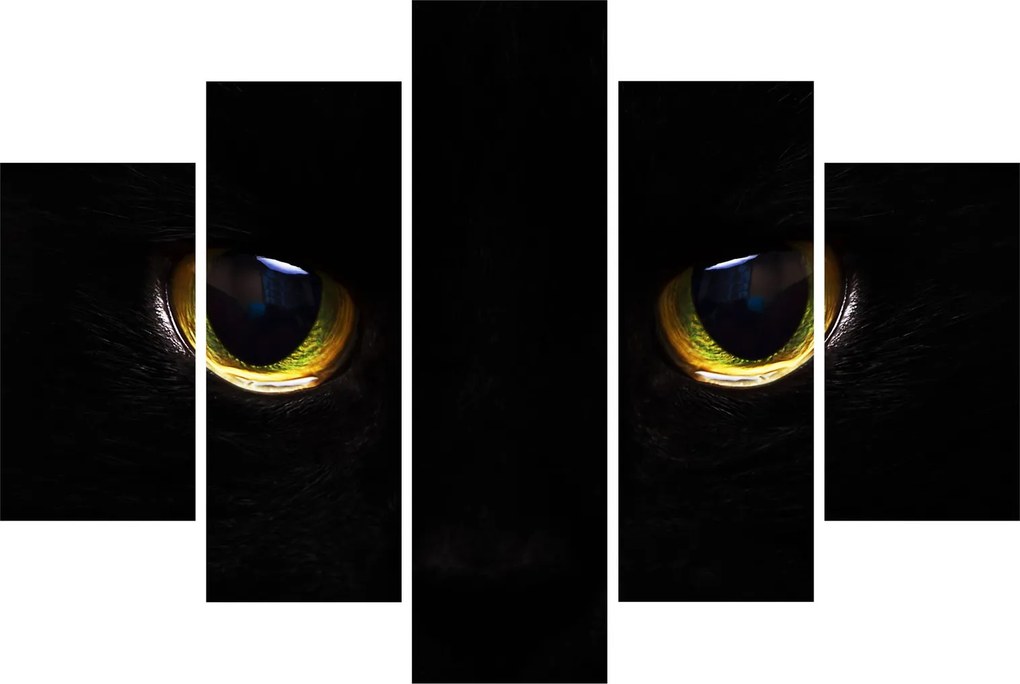 Tablou - Ochi de pisică (150x105 cm)