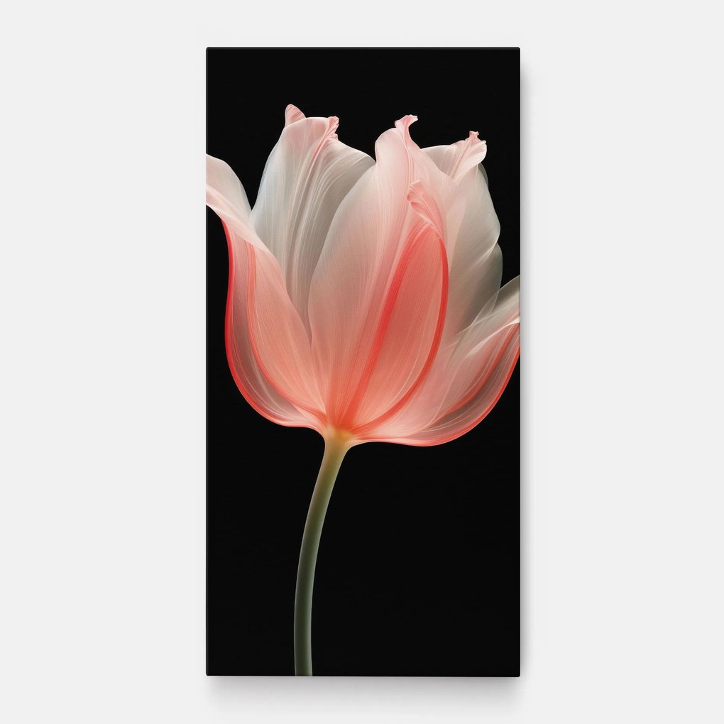 Tablou Canvas, 50x100cm, Dormitor si Living, Flori, Lalele, Pastel Pink Tulip
