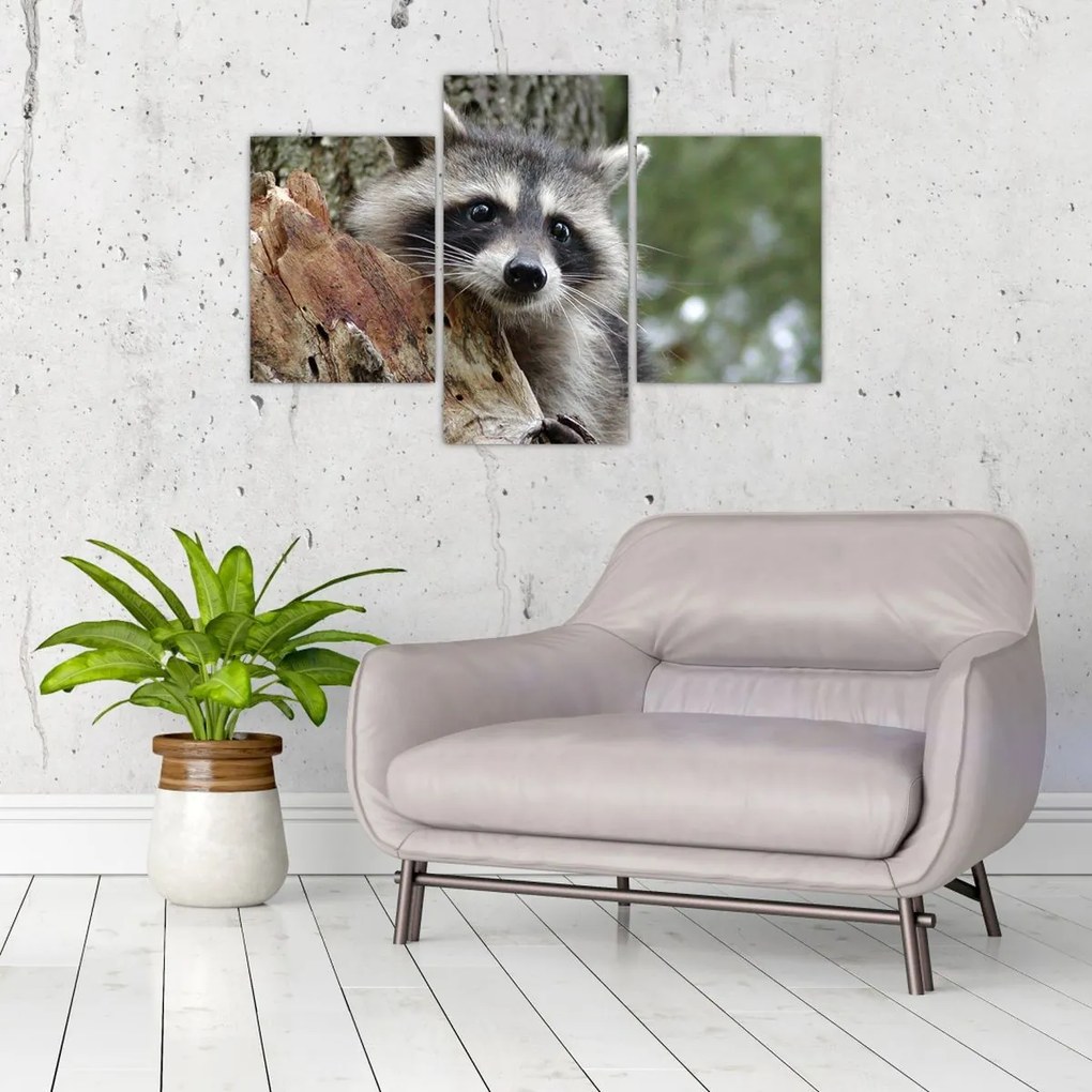 Tablou - Raton (90x60 cm)