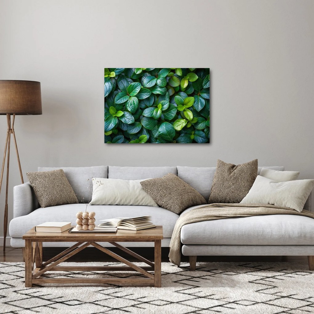 Tablou - Plante verzi (70x50 cm)