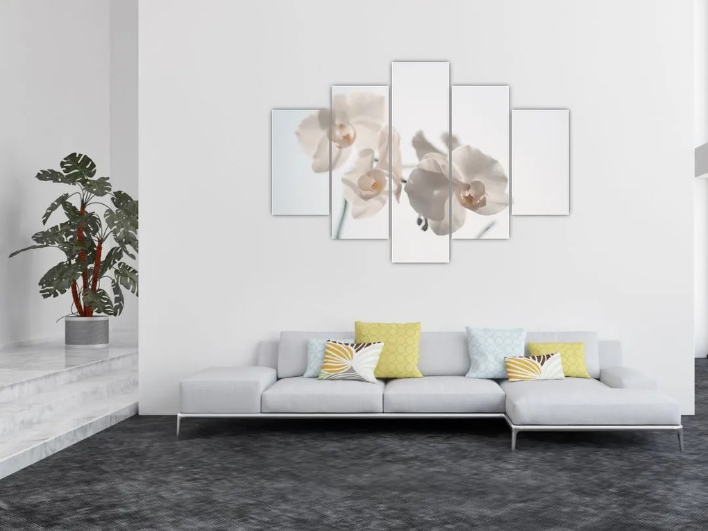 Tablou cu orhidee albă (150x105 cm)