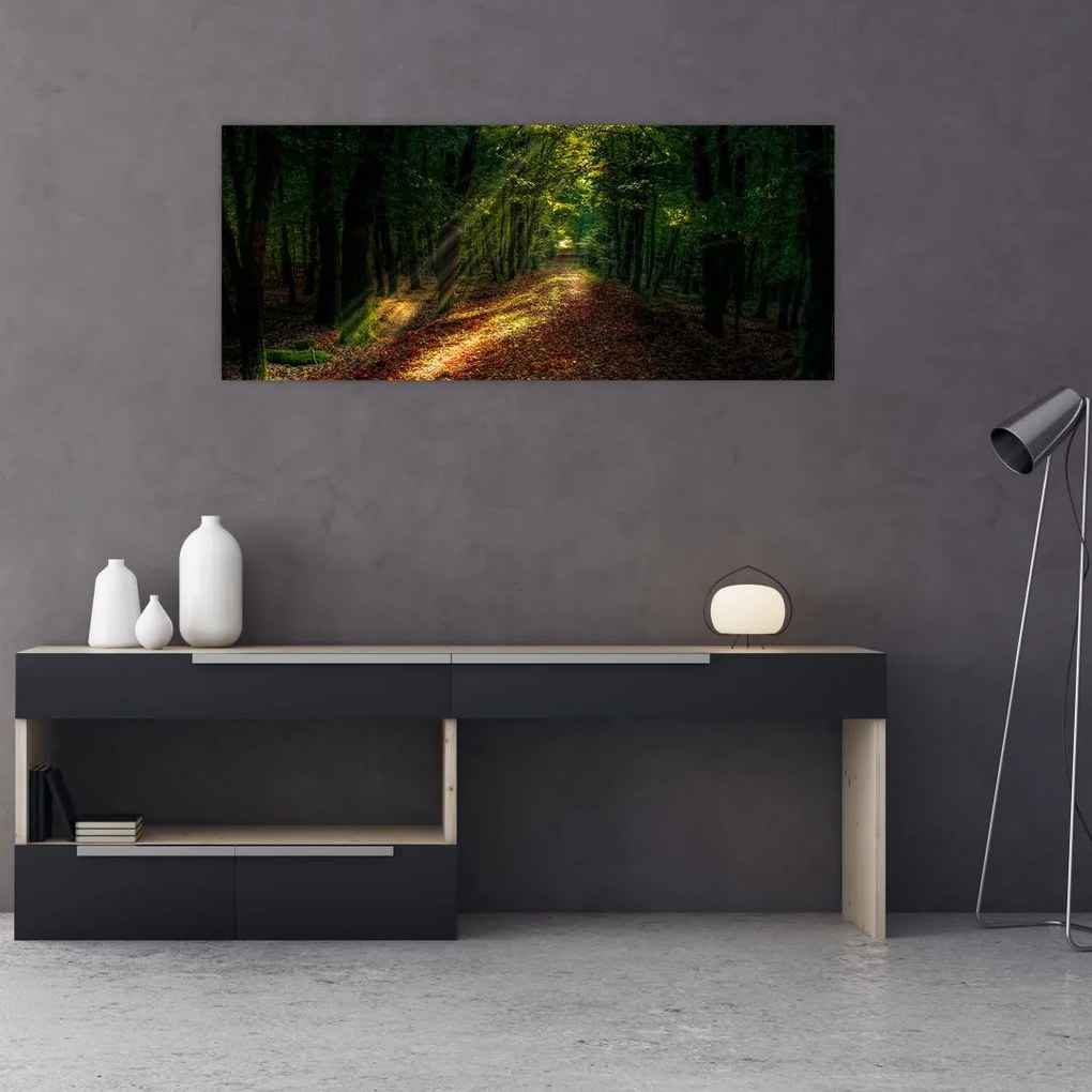 Tablou cu poteca prin pădure (120x50 cm)