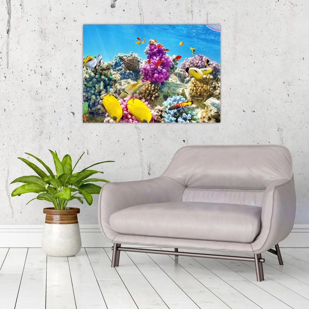 Tablou - Lumea mării (70x50 cm)