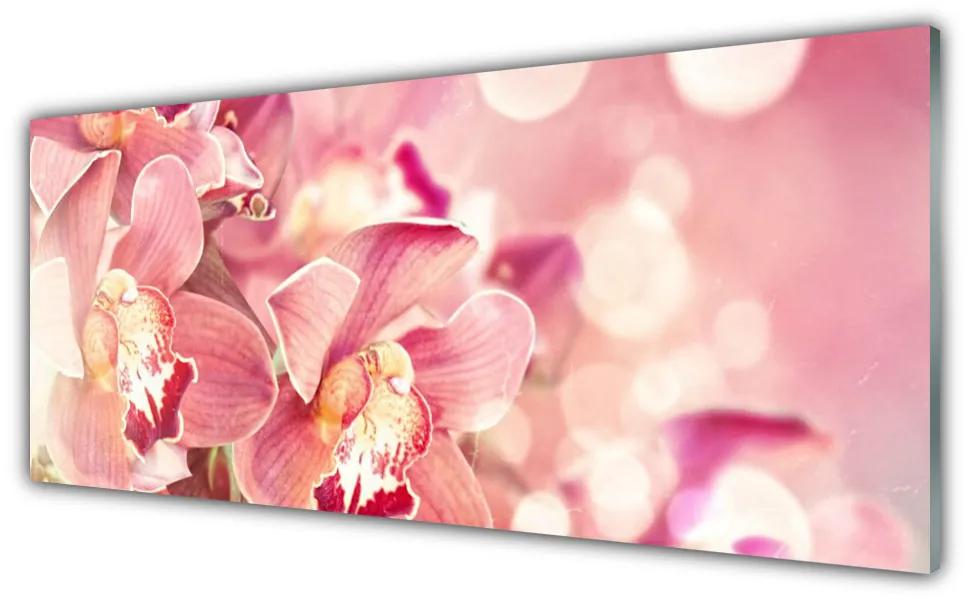 Tablouri acrilice Flori Floral Bej Maro