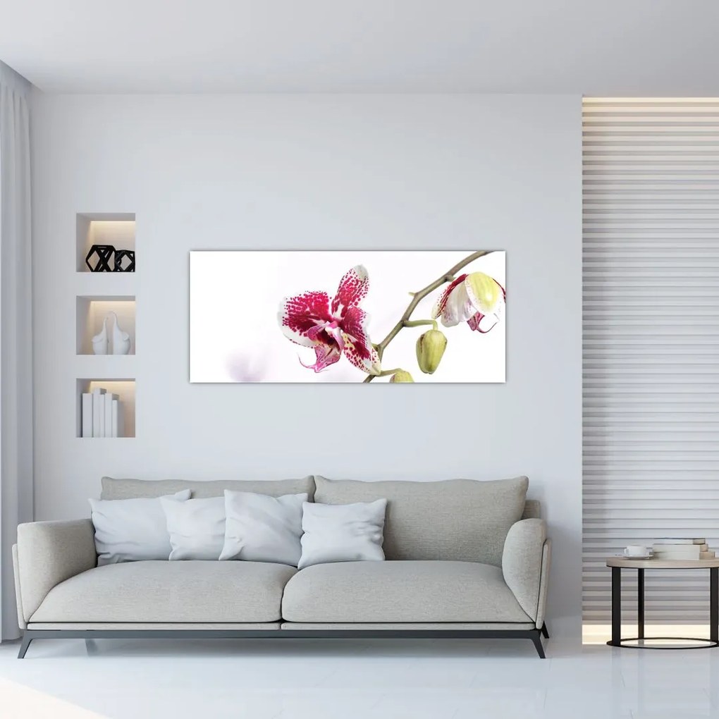 Tablou cu floarea de orhidee (120x50 cm)