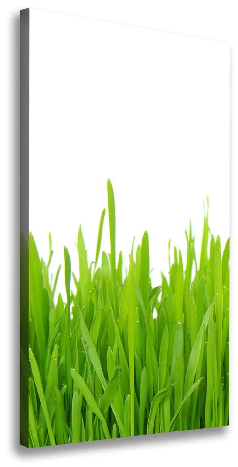 Imprimare tablou canvas Iarbă verde