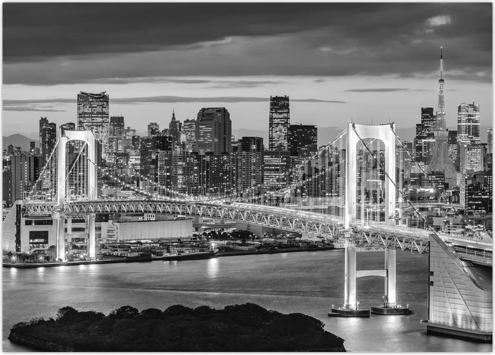 Tablou - Negru și alb oraș mare (70x50 cm)