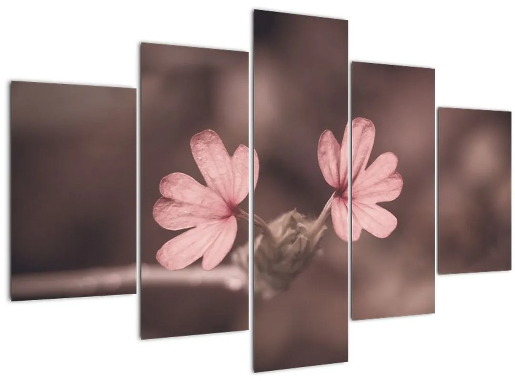 Tablou cu floare roz (150x105 cm)