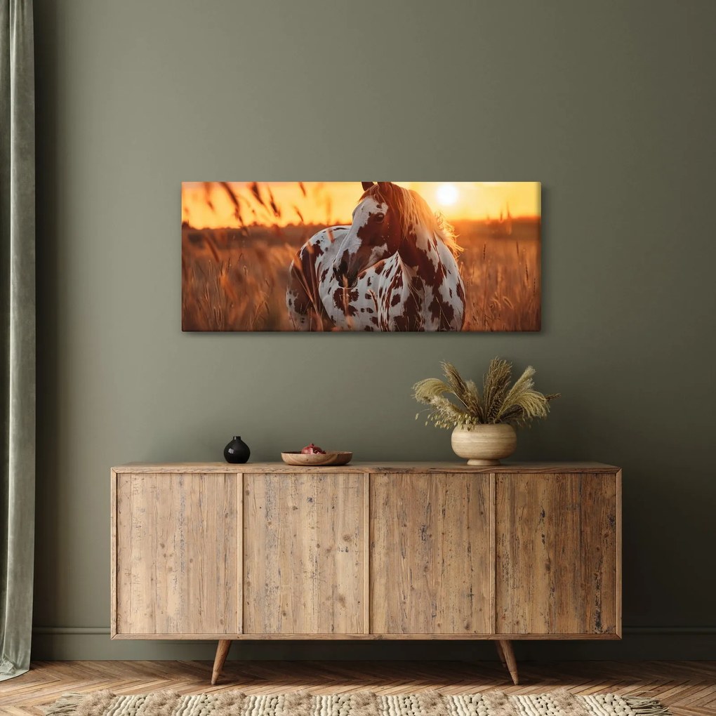 Tablou - Cal la Apus (120x50 cm)