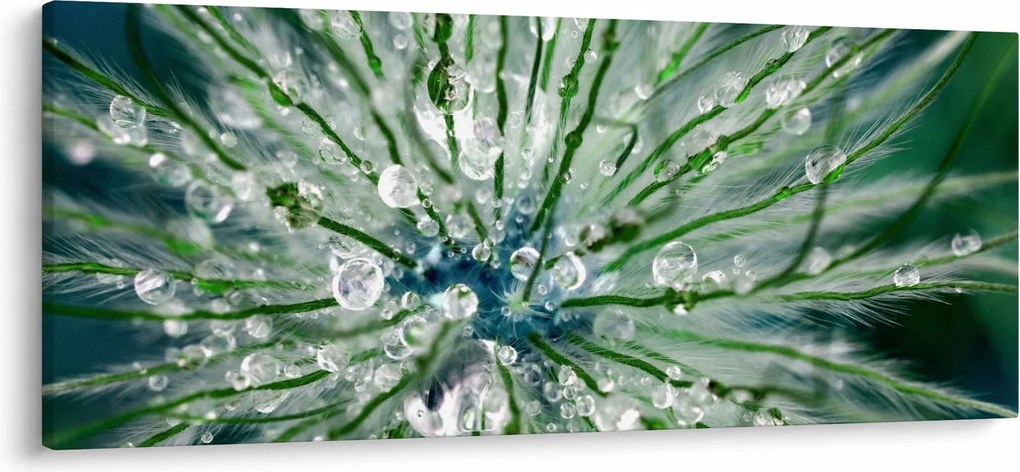 Tablou - Imagine macro a unei flori (120x50 cm)