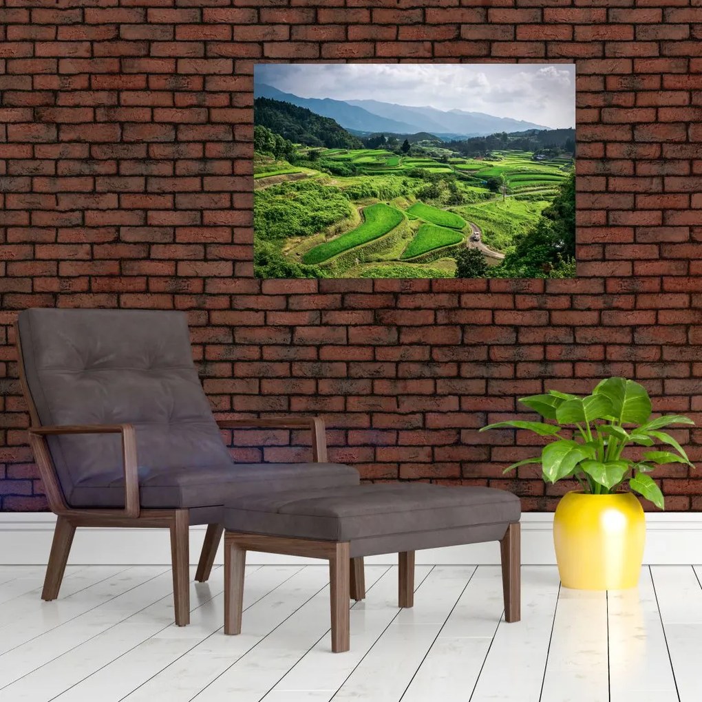 Tablou cu câmp de orez (90x60 cm)