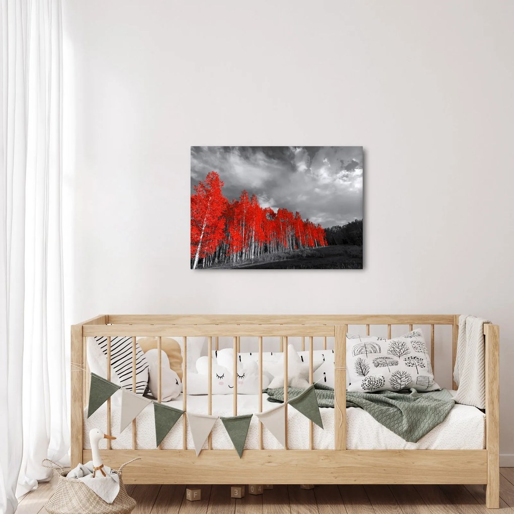 Tablou - Copaci în culorile toamnei (70x50 cm)