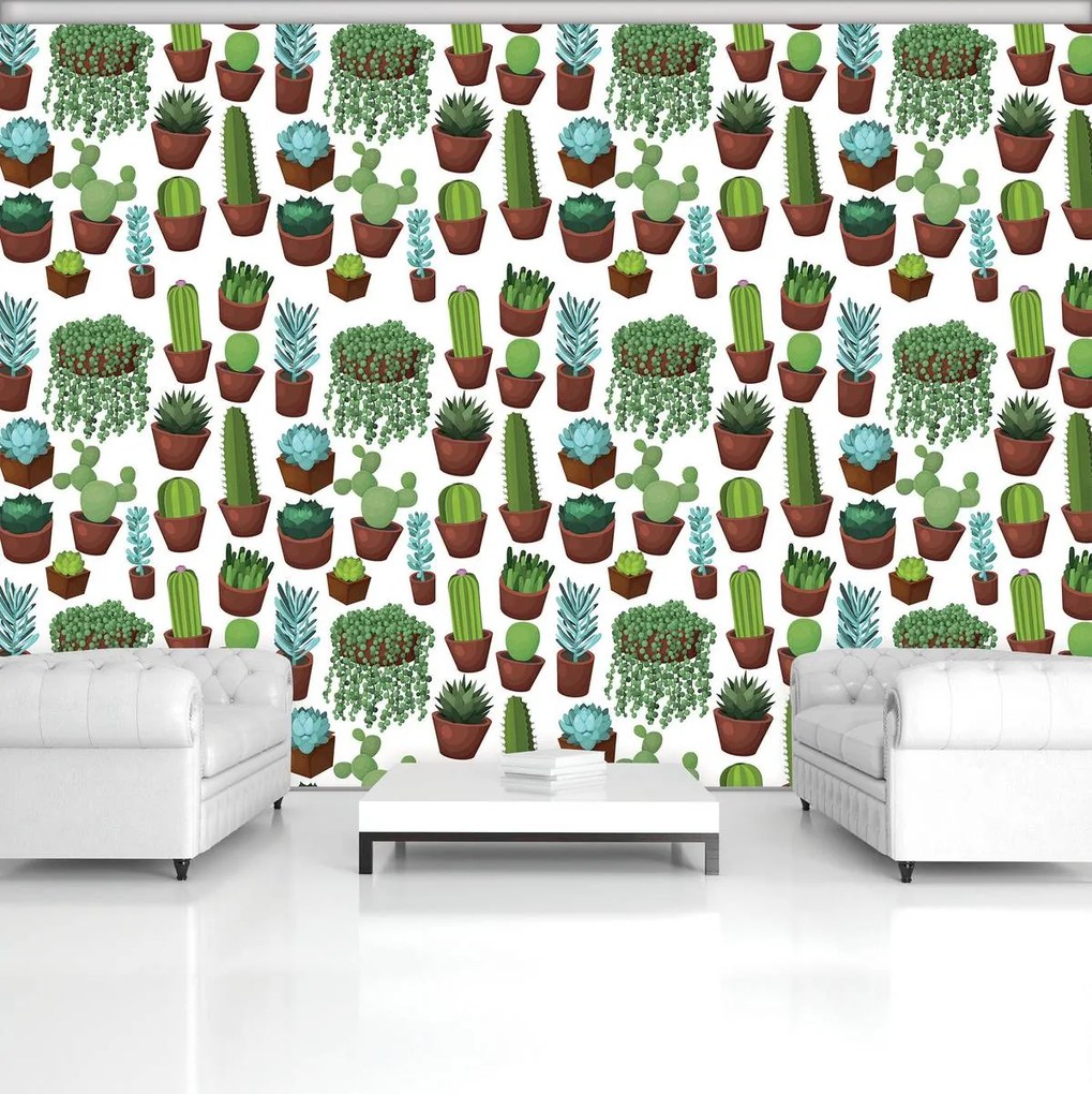 Fototapet - Cactus (254x184 cm)
