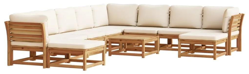 3214297 vidaXL Set mobilier grădină cu perne, 11 piese, lemn masiv acacia