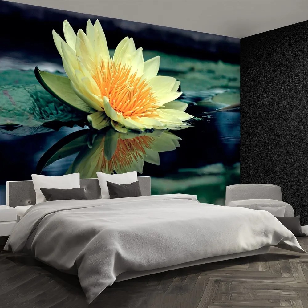 Fototapet Floare de lotus