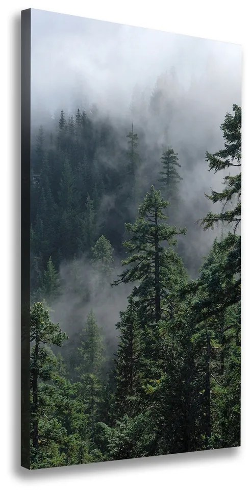 Tablou pe pânză canvas Ceață peste pădure