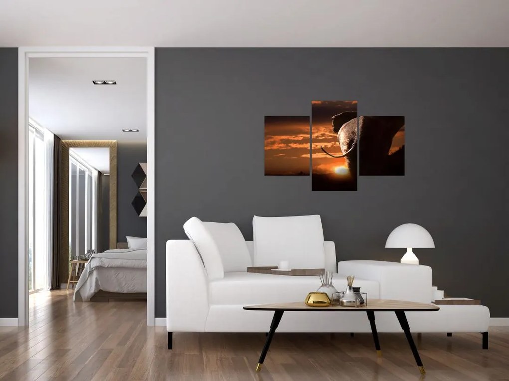 Tablou cu elefant (90x60 cm)