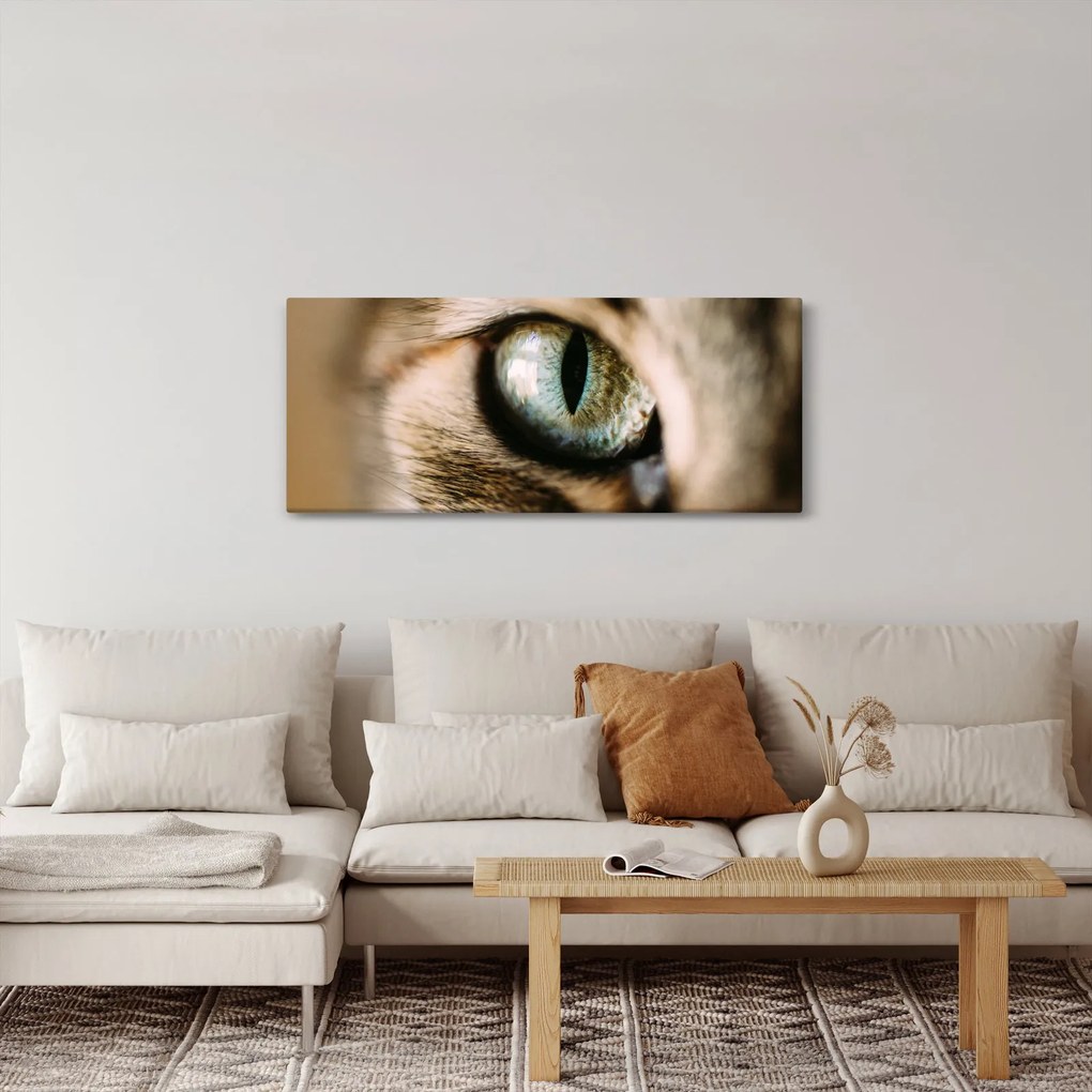 Tablou - Ochi de pisică (120x50 cm)