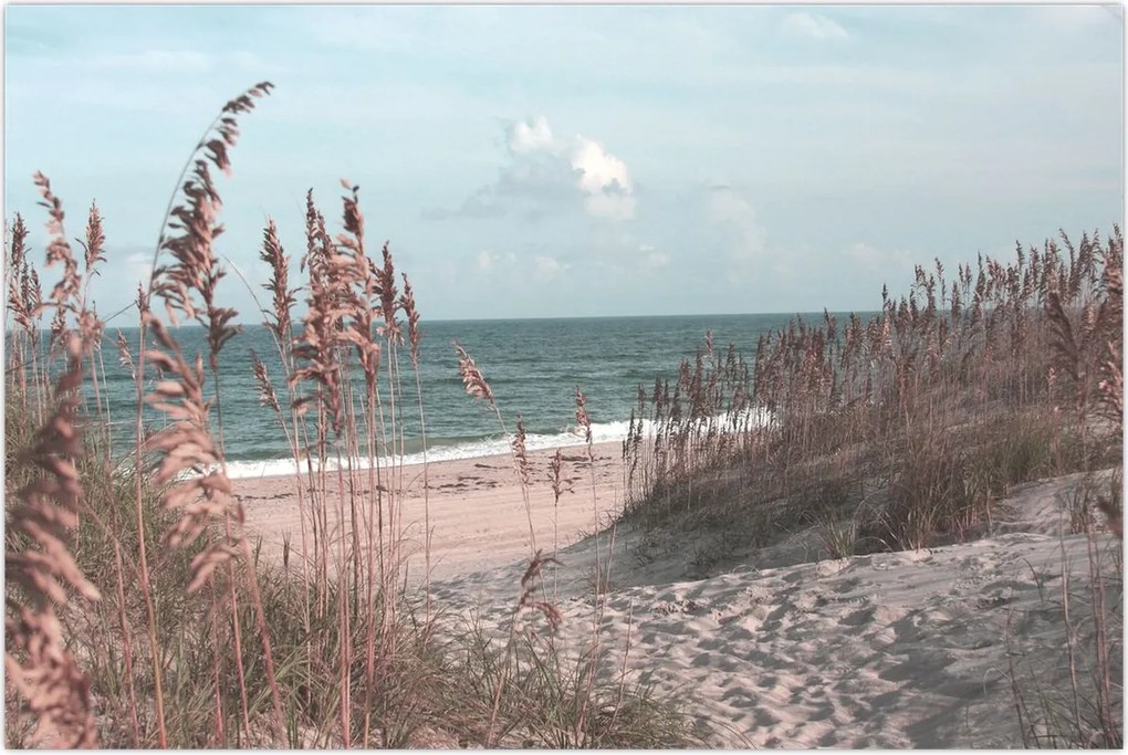 Tablou - Plaja roz (90x60 cm)