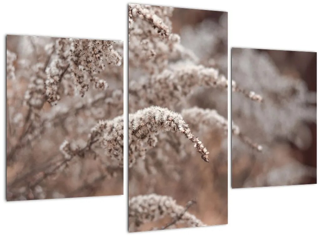 Tablou cu plante (90x60 cm)