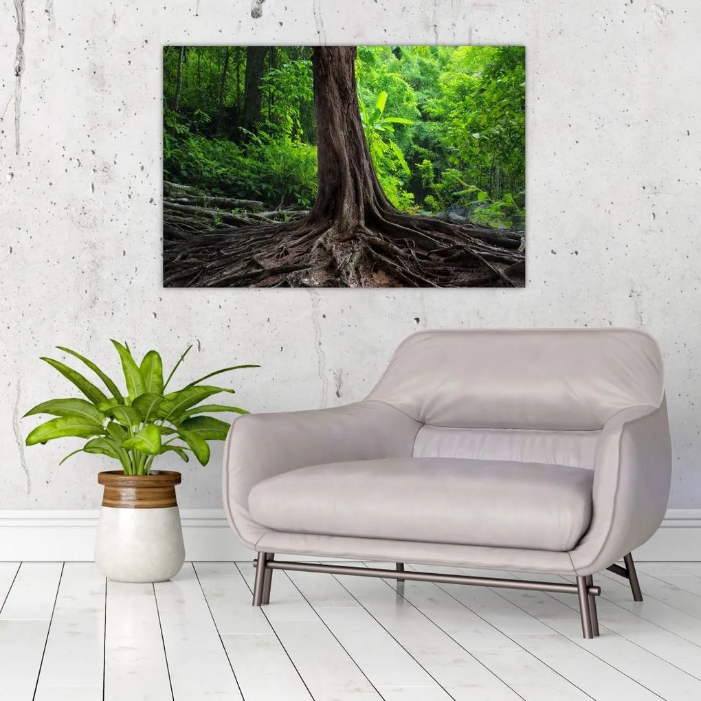 Tablou - Copac bătrîn cu rădăcini (90x60 cm)