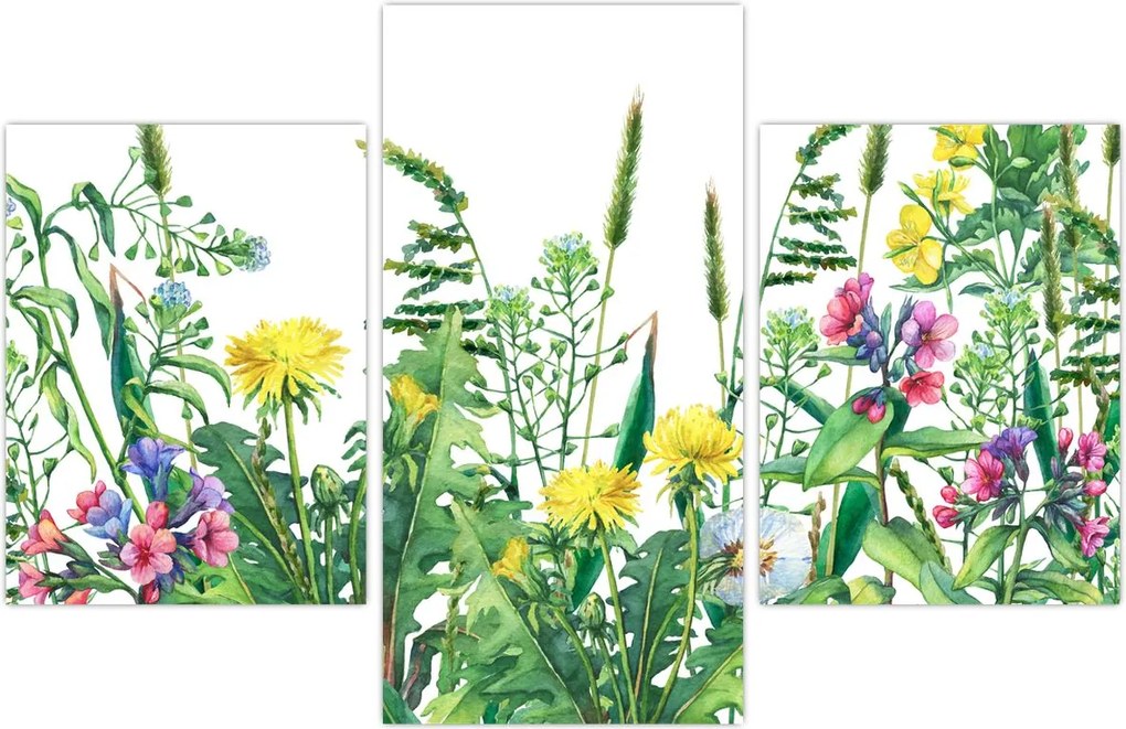 Tablou - Flori de pajiște pictate (90x60 cm)