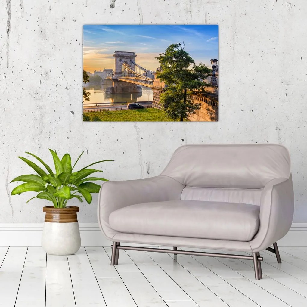 Tablou - Pod peste râu, Budapesta, Ungaria (70x50 cm)