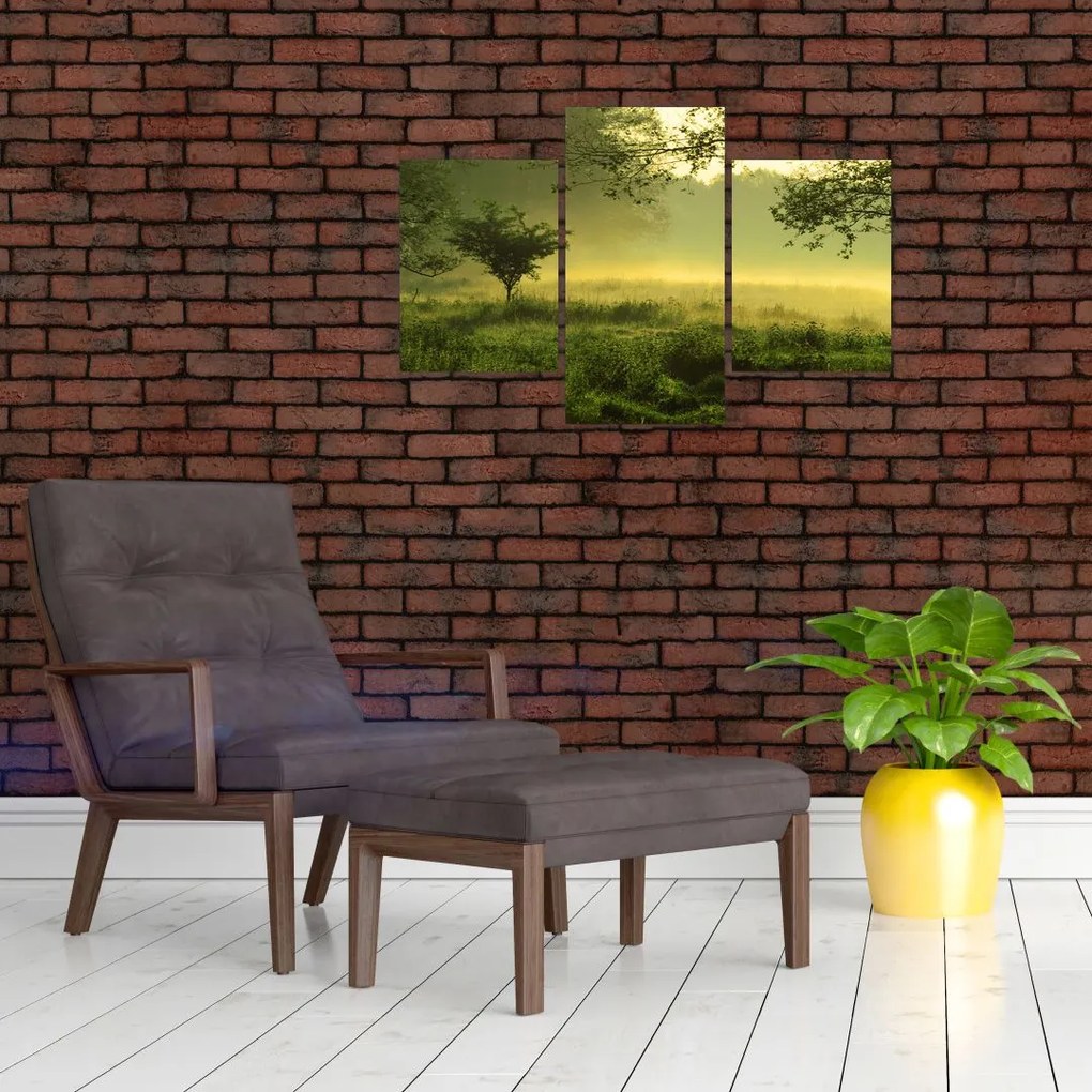 Tablou - Pădurea trezită (90x60 cm)