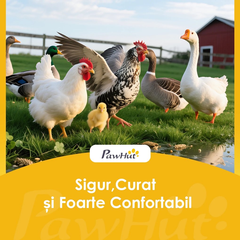 PawHut Coteț din Lemn cu 2 Cuiburi, Coteț Exterior pentru Găini cu Acoperiș Rezistent la Apă, Tavă Detașabilă și Prăjini, Adăpost pentru 2-4 Găini, Rațe, Grădină, 150x100x96,5 cm, Gri | Aosom Romania