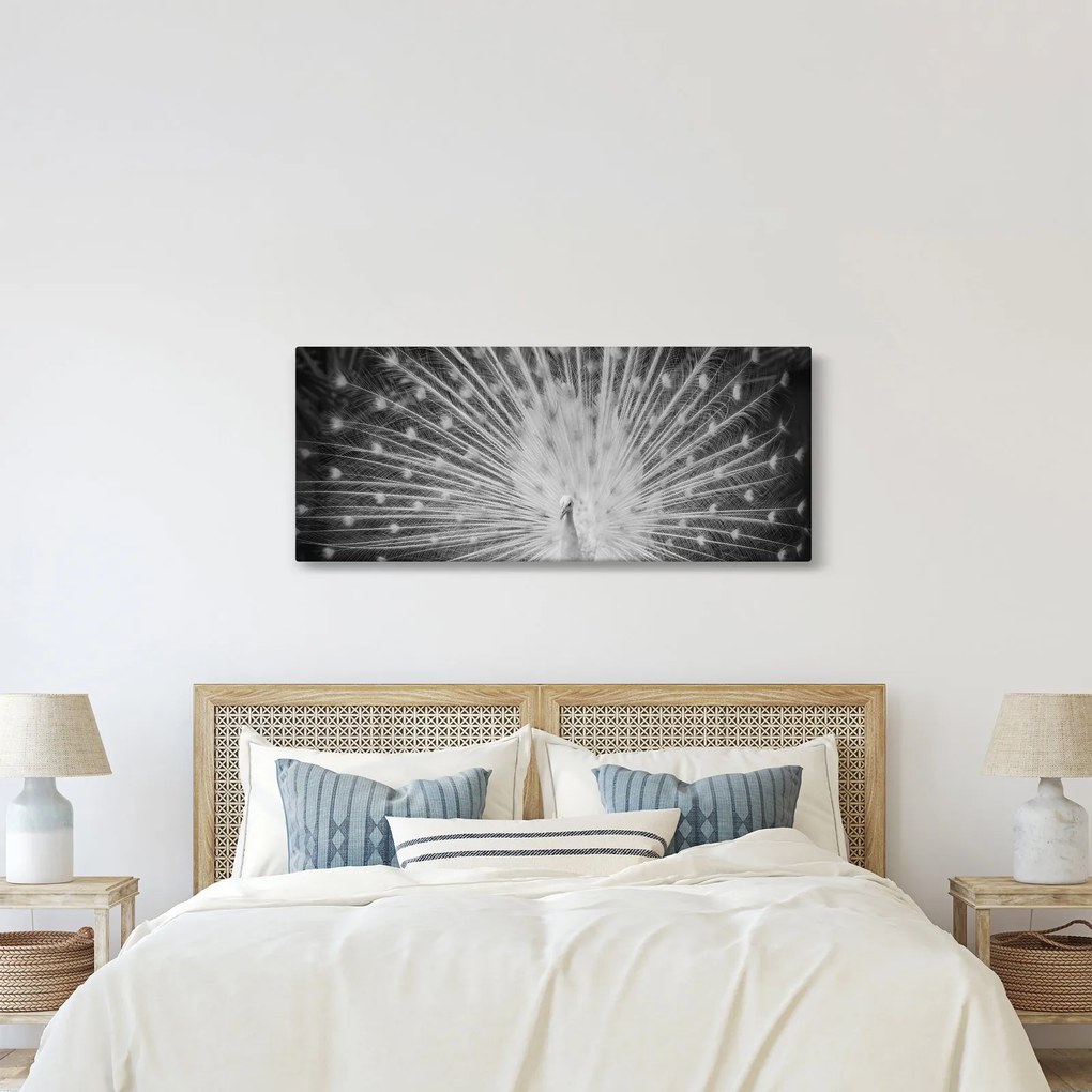 Tablou - Păun alb (120x50 cm)