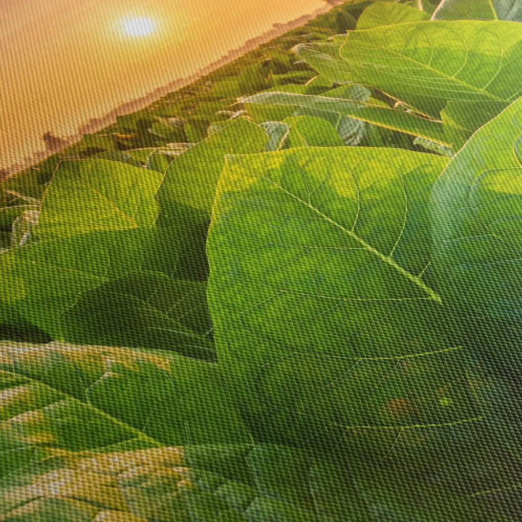 Tablou - Câmp (cu ceas) (90x30 cm)