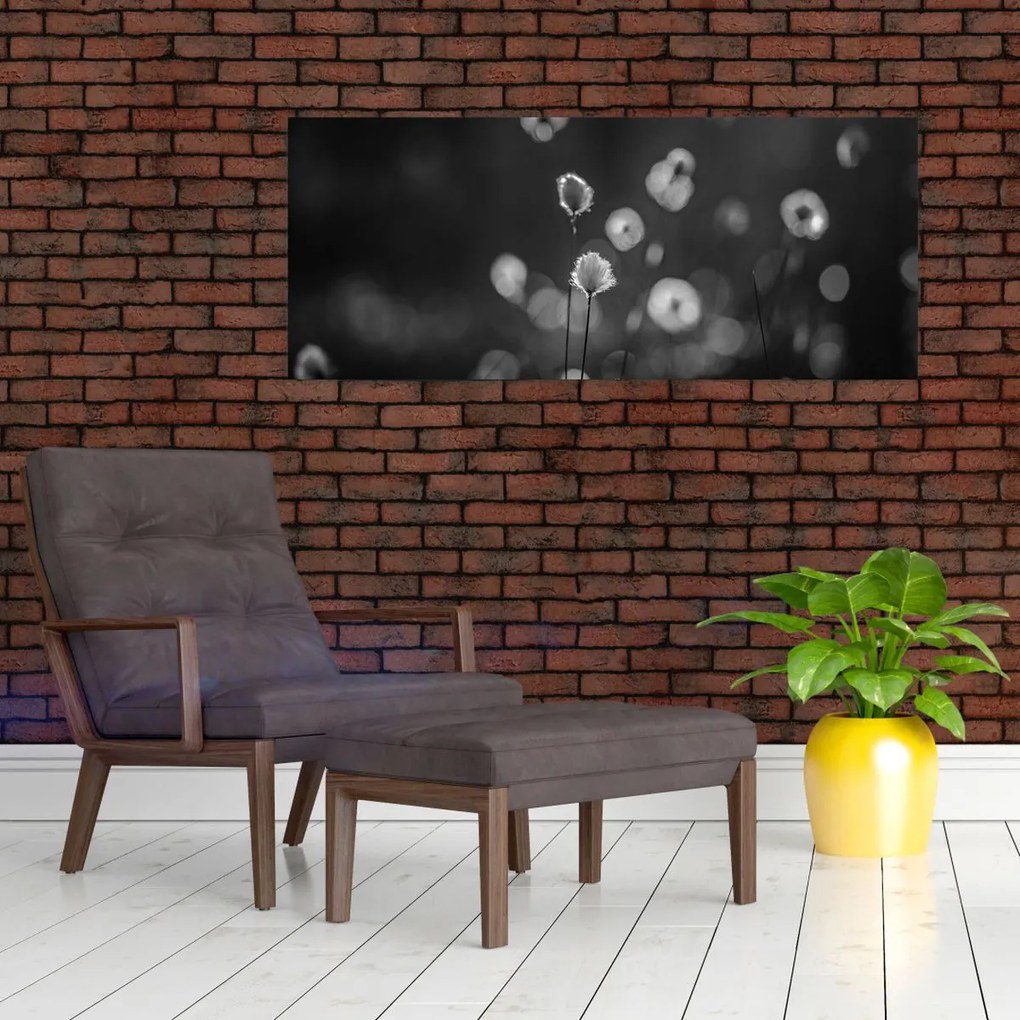 Tablou - Iarba de bumbac în pajiște (120x50 cm)