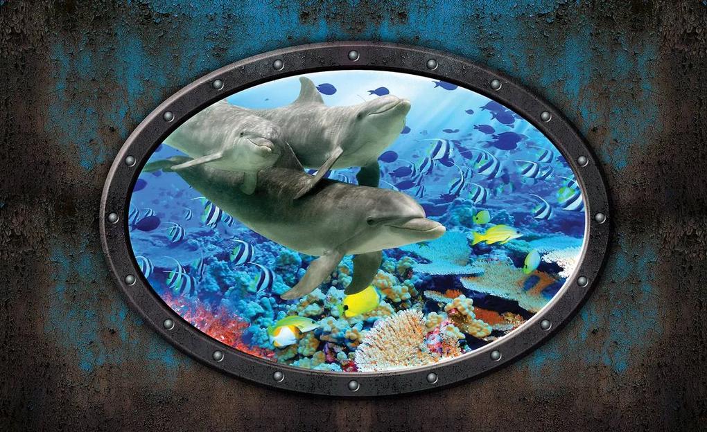 Fototapet - Delfin în aquariu (254x184 cm), în 8 de alte dimensiuni noi